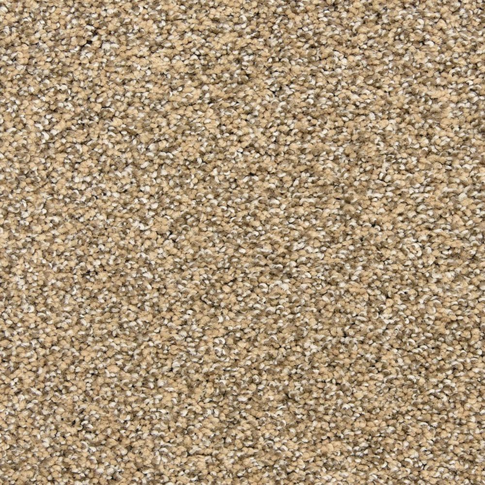 Dixie Home Natural Beauty Carpet in Bronze, , large