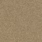 Shaw Acadia Park Carpet in Lodge, , large