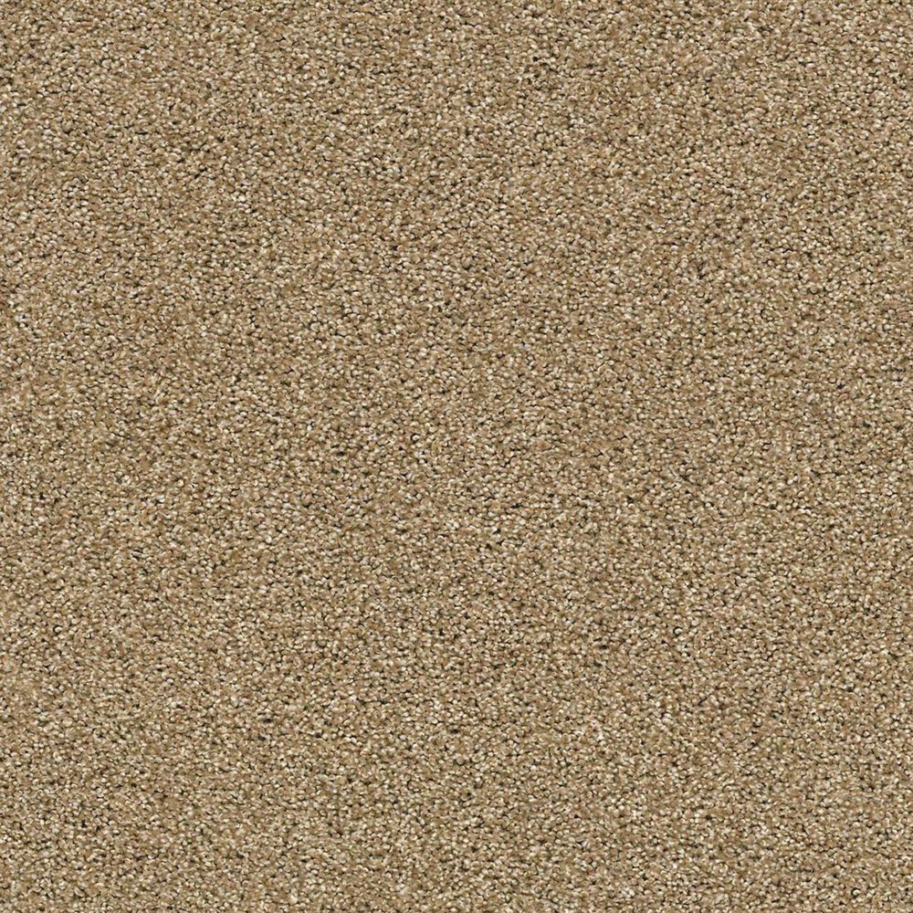Shaw Acadia Park Carpet in Lodge, , large