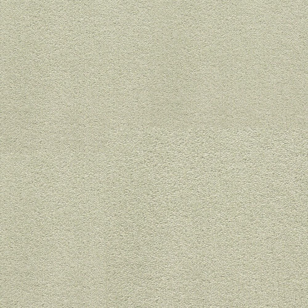 Dixie Home Neverland Carpet in Riverdale, , large