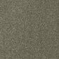 Dream Weaver Acclaim Carpet in Monaco, , large