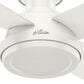 Hunter Dempsey 52" Low Profile Ceiling Fan in Fresh White, , large