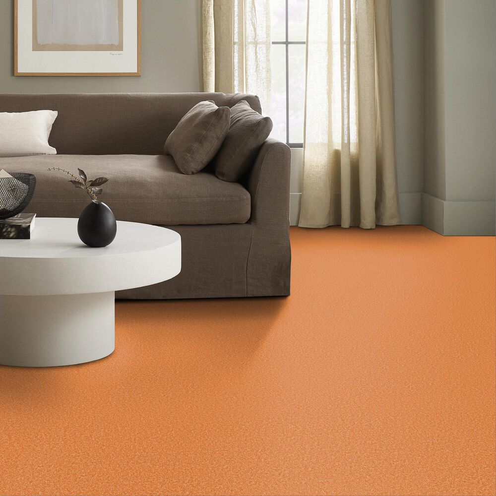 Shaw The Bright Side Carpet in Orange You Glad, , large