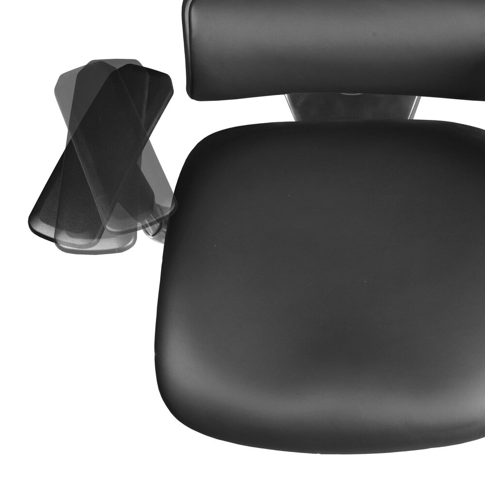 Regency Global Sourcing Omega Ergonomic Executive Office Chair in Black, , large