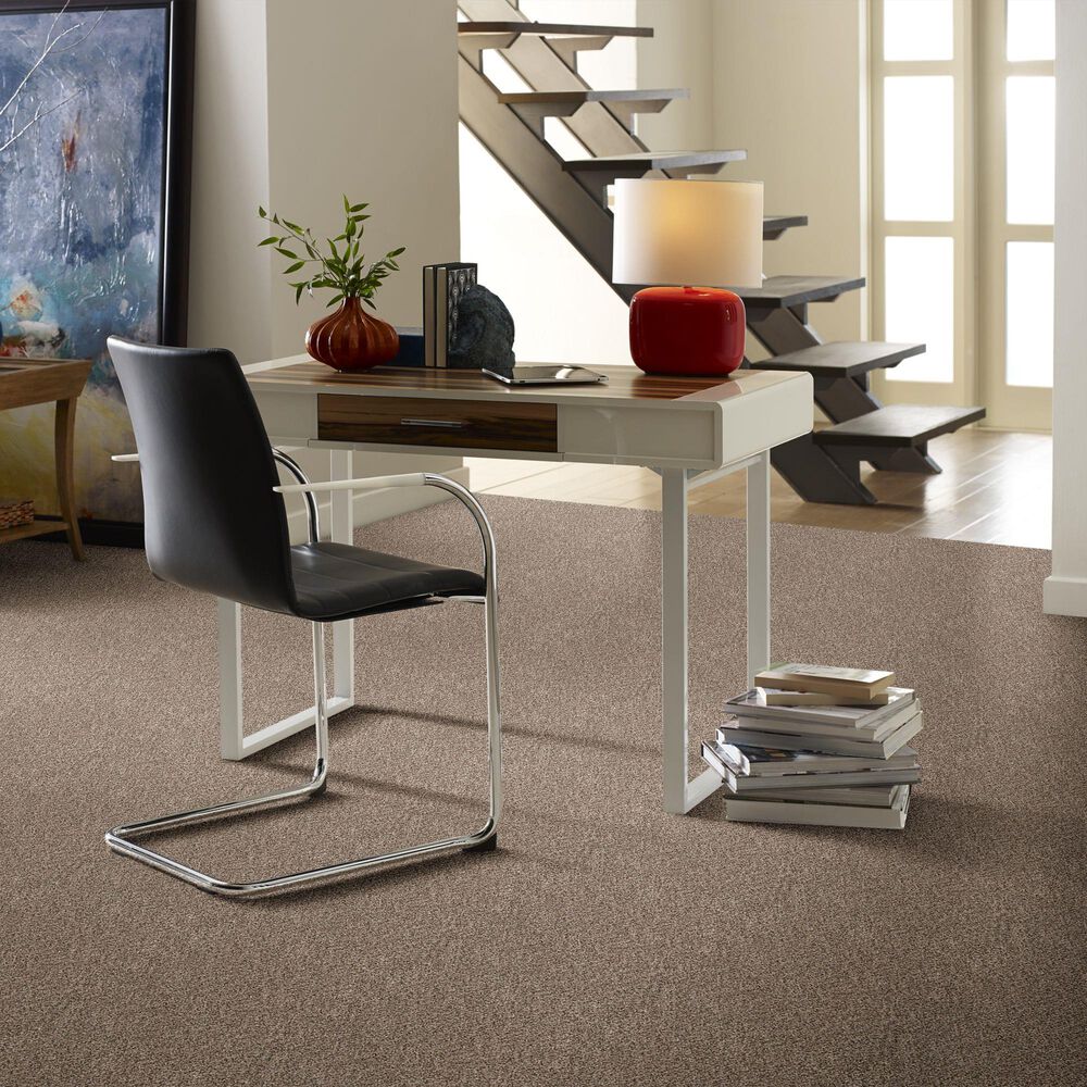 Shaw Simply the Best Cabana Life Carpet in Mesa, , large