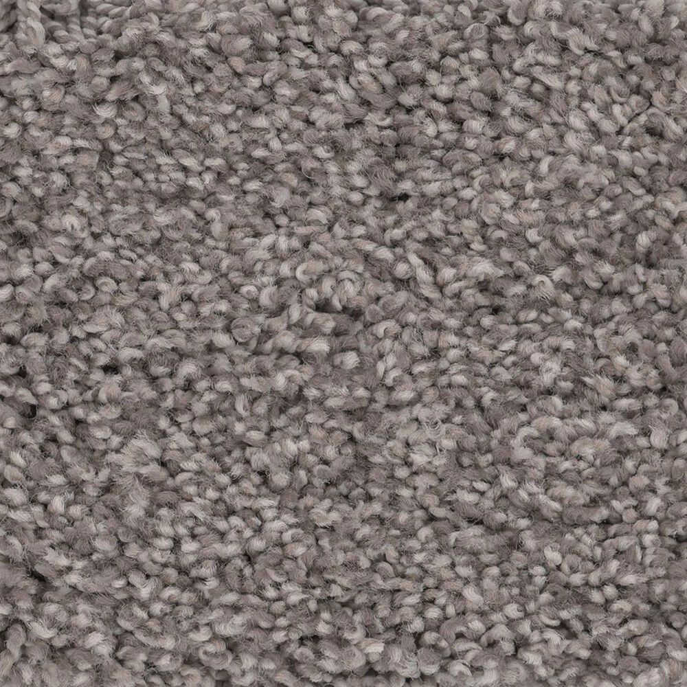 Anderson Tuftex Caress Cozy Harbor II Carpet in Ridgeview, , large