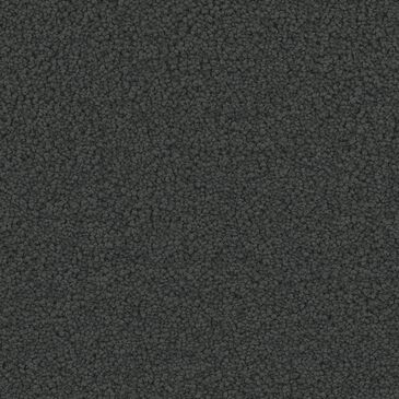 Phenix Emerson Carpet in Sophistication, , large