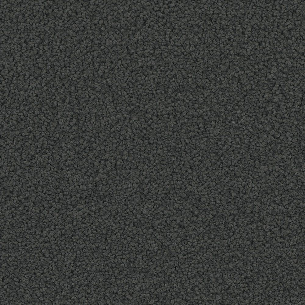 Phenix Emerson Carpet in Sophistication, , large