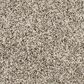 Mohawk Purrsonality III Carpet in Pebble Trail, , large