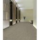 Shaw Crazy Smart 18" x 36" Carpet Tile in Astute, , large