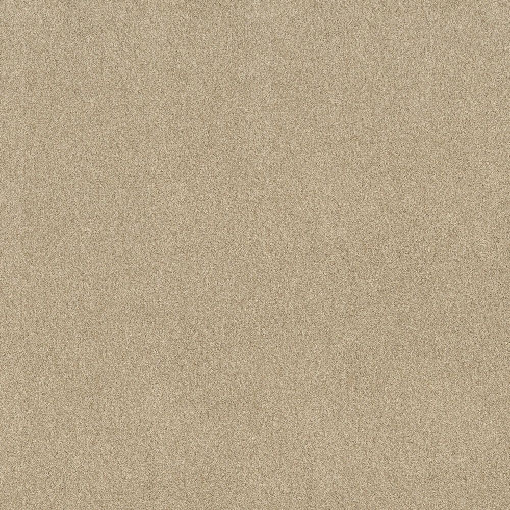 Shaw Comforting I Carpet in Sesame Seed, , large
