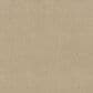 Shaw Comforting I Carpet in Sesame Seed, , large