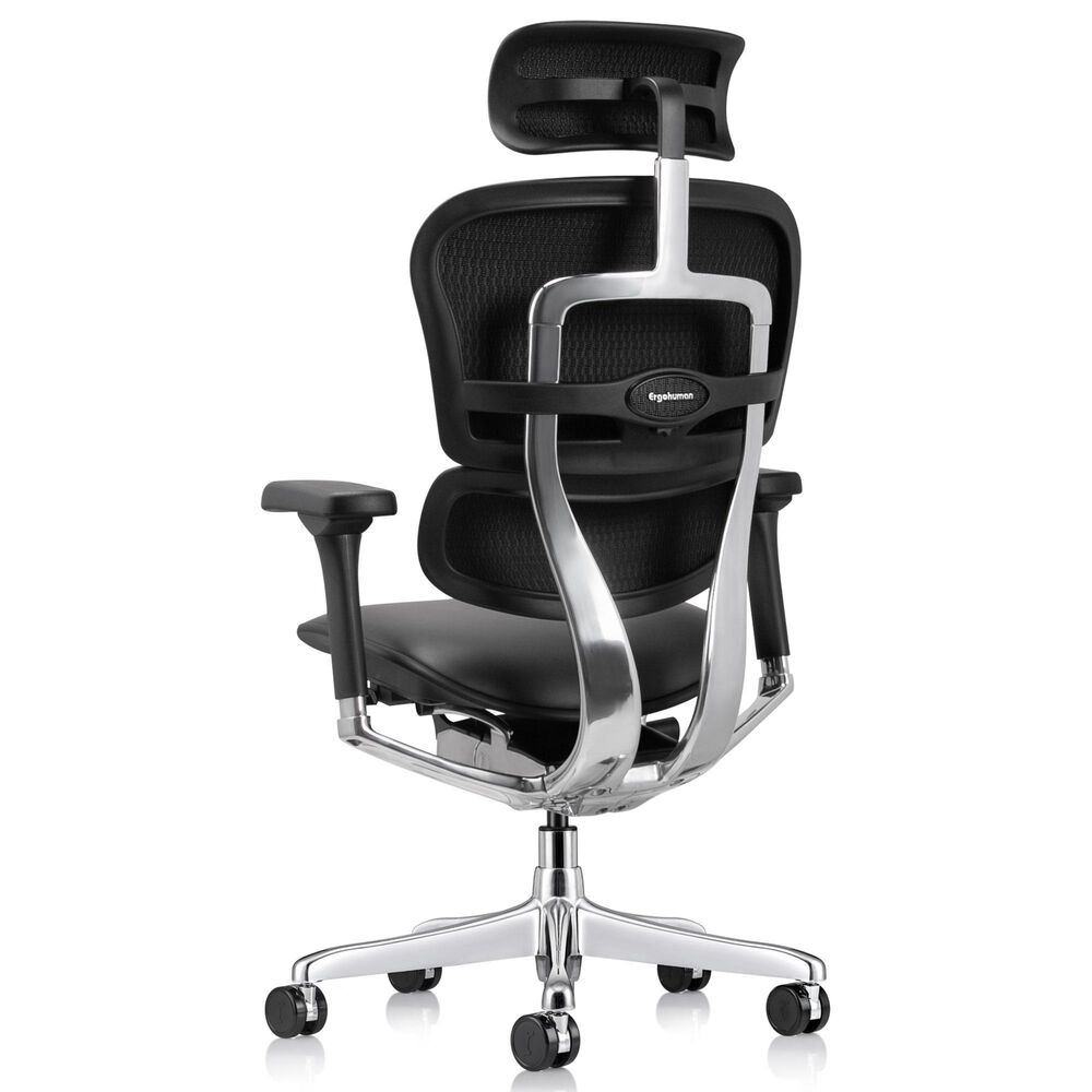 Raynor Group Ergohuman High Back Leather Executive Chair in Black, , large