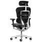 Raynor Group Ergohuman High Back Leather Executive Chair in Black, , large