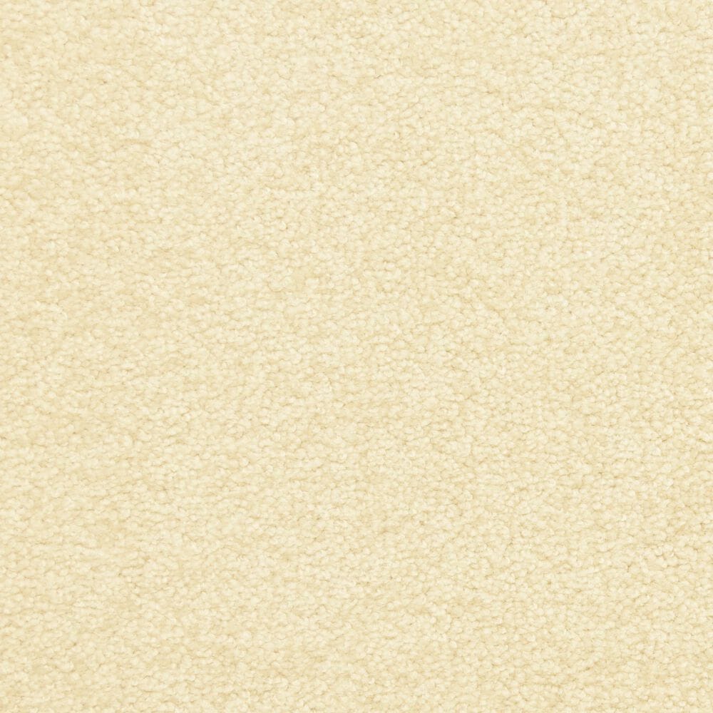 Dixie Home Debut Carpet in Water Chestnut, , large