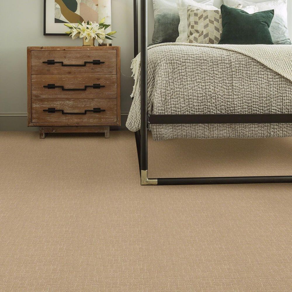 Anderson Tuftex New Tricks Carpet in Monterey, , large