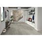 MS International Sande Grey 12" x 24" Matte Porcelain Tile, , large