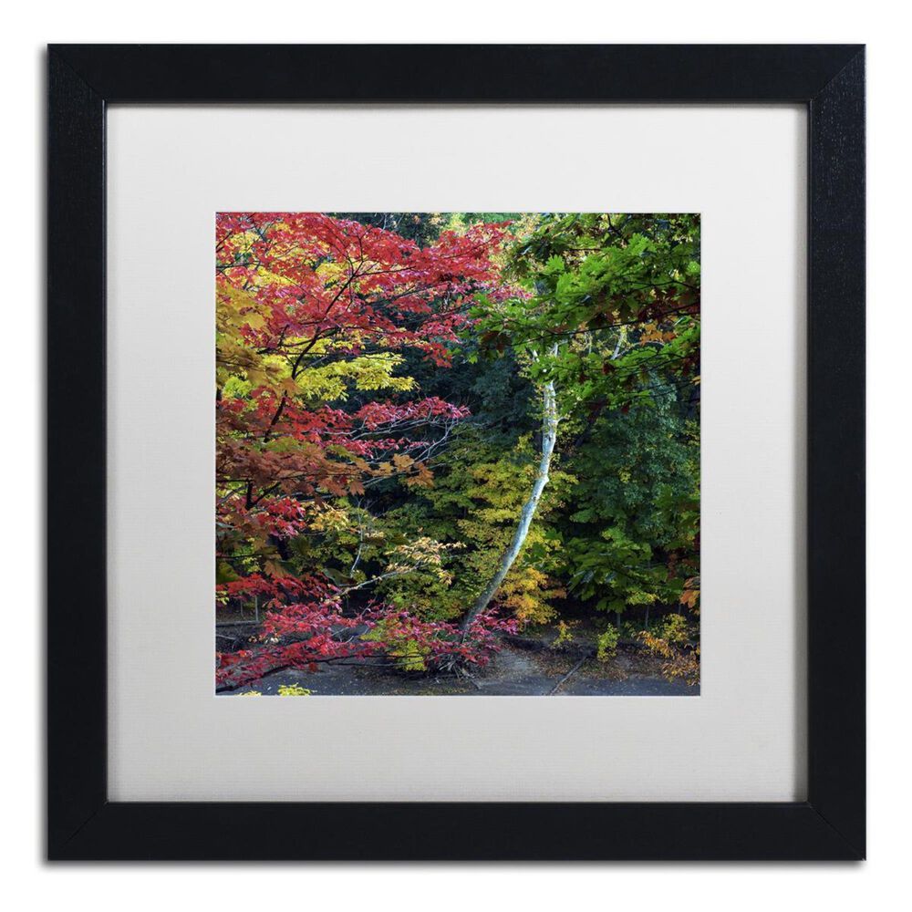 Timberlake 11" x 11" All the Colors of October in Ohio Art in White Matting and Black Frame, , large