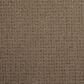 Dixie Home Galliard Carpet in Woodcliff, , large