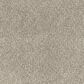 Dixie Home Bolt Carpet in Destination, , large