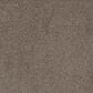 Phenix Foundation II Carpet in Pebble, , large