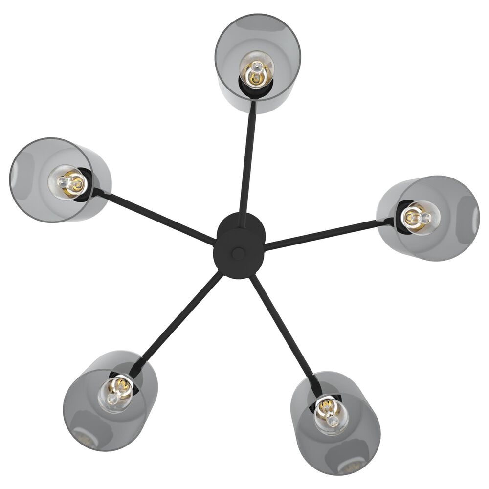 Hunter Lochmeade 5-Light Chandelier in Natural Iron, , large