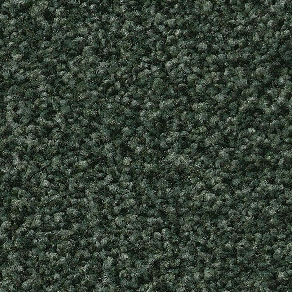 Shaw Tonal Comfort Ii Carpet in Magnolia Branch, , large