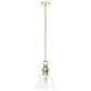 Hunter Klein 12" 1-Light Pendant with Clear Shade in Alturas Gold, , large