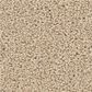 Philadelphia Champagne Taste I Carpet in Cashew, , large
