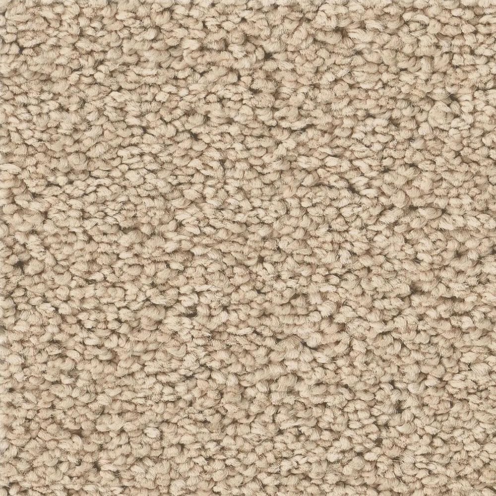Philadelphia Champagne Taste I Carpet in Cashew, , large