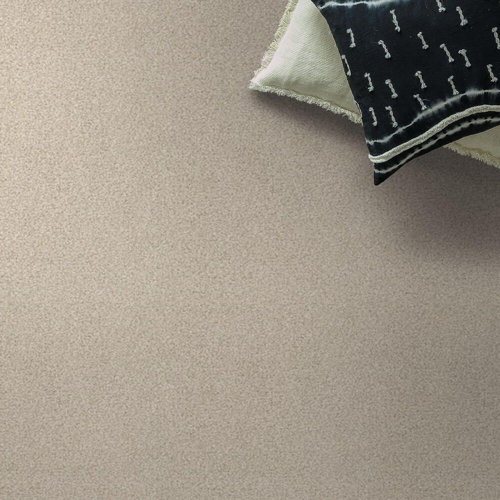 Shaw Tonal Comfort Ii Carpet in Happy Place, , large