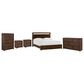 Riva Ridge Modern Loft King Storage Panel Bed with Dresser, Chest, and Two Nightstands in Brownstone, , large