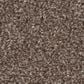 Shaw Agility Carpet in Roasted Coffee, , large