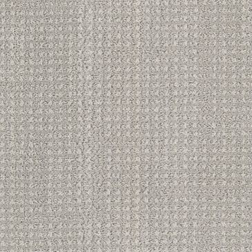 Dixie Home Feline Carpet in Venus, , large