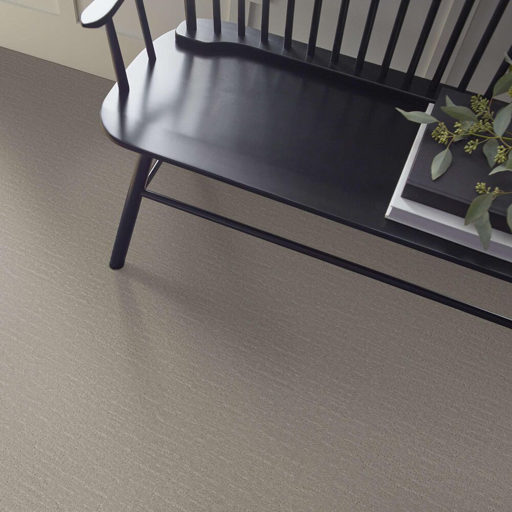 Shaw Endless Memories Carpet in Back Patio, , large