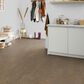 Forbo Marmoleum Cinch Loc Seal 12" x 36" Laminate Tile in Cork Tree, , large