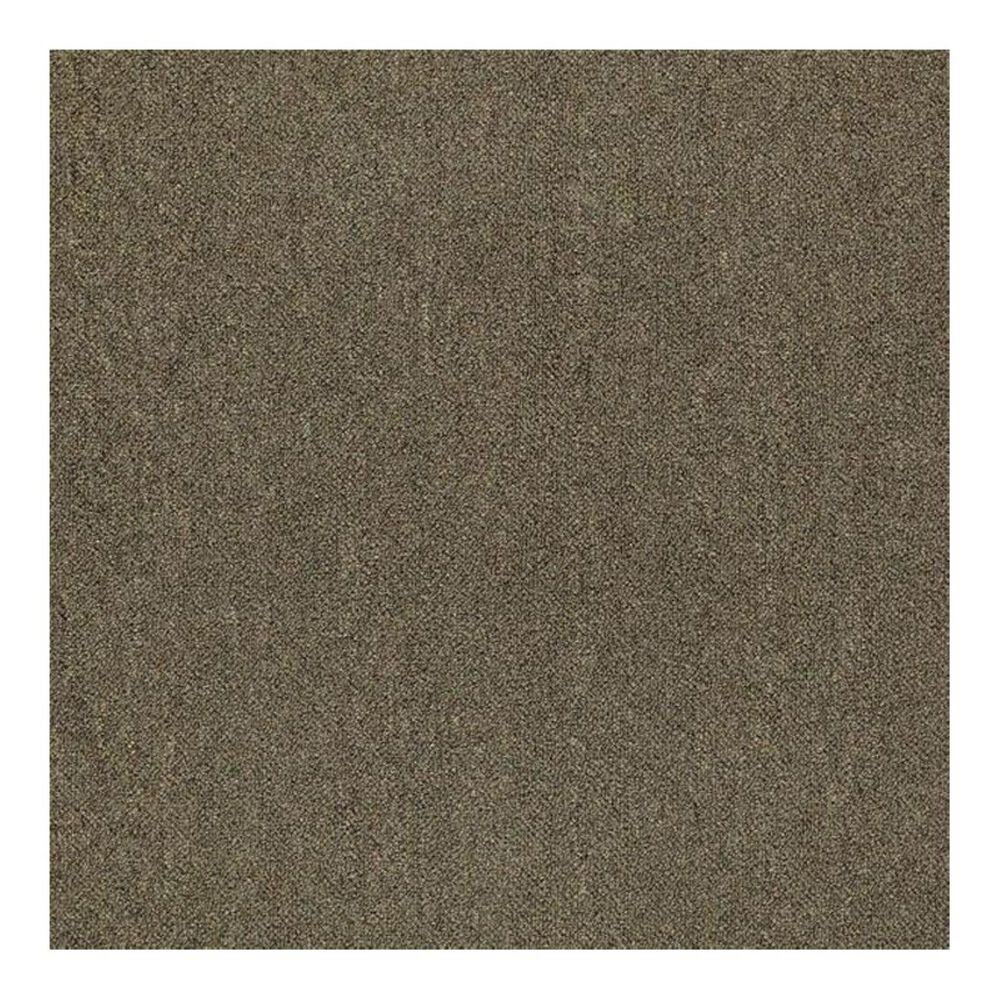 Shaw Counterpart 24" x 24" Carpet Tile in Spitting Image, , large