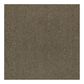 Shaw Counterpart 24" x 24" Carpet Tile in Spitting Image, , large