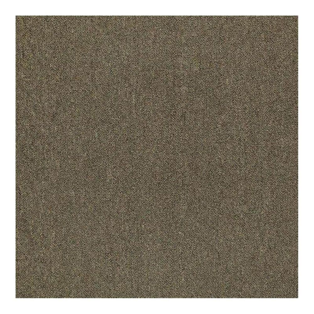 Shaw Counterpart 24" x 24" Carpet Tile in Spitting Image, , large