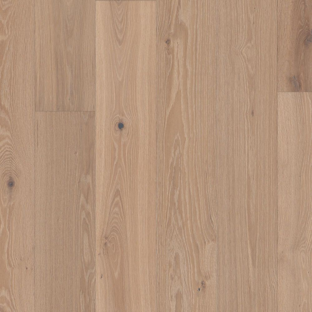Shaw Ensemble Applique Oak Engineered Hardwood, , large