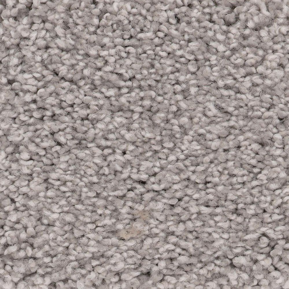 Anderson Tuftex Caress Cozy Harbor I Carpet in Cold Winter, , large