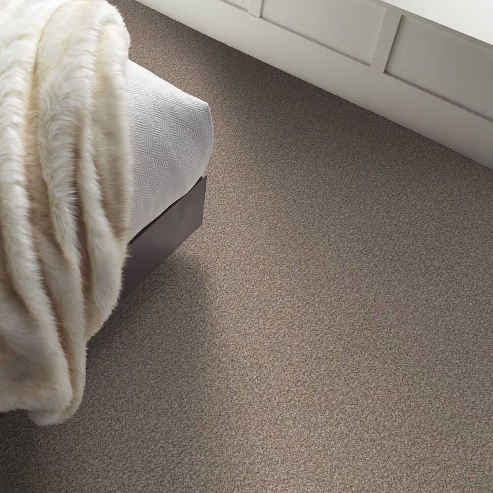 Shaw Yes You Can III Carpet in Glacier, , large