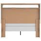 Ashley Kinlanni Queen Upholstered Panel Bed in Tan, , large