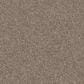 Shaw Yes You Can I Carpet in Cameo, , large