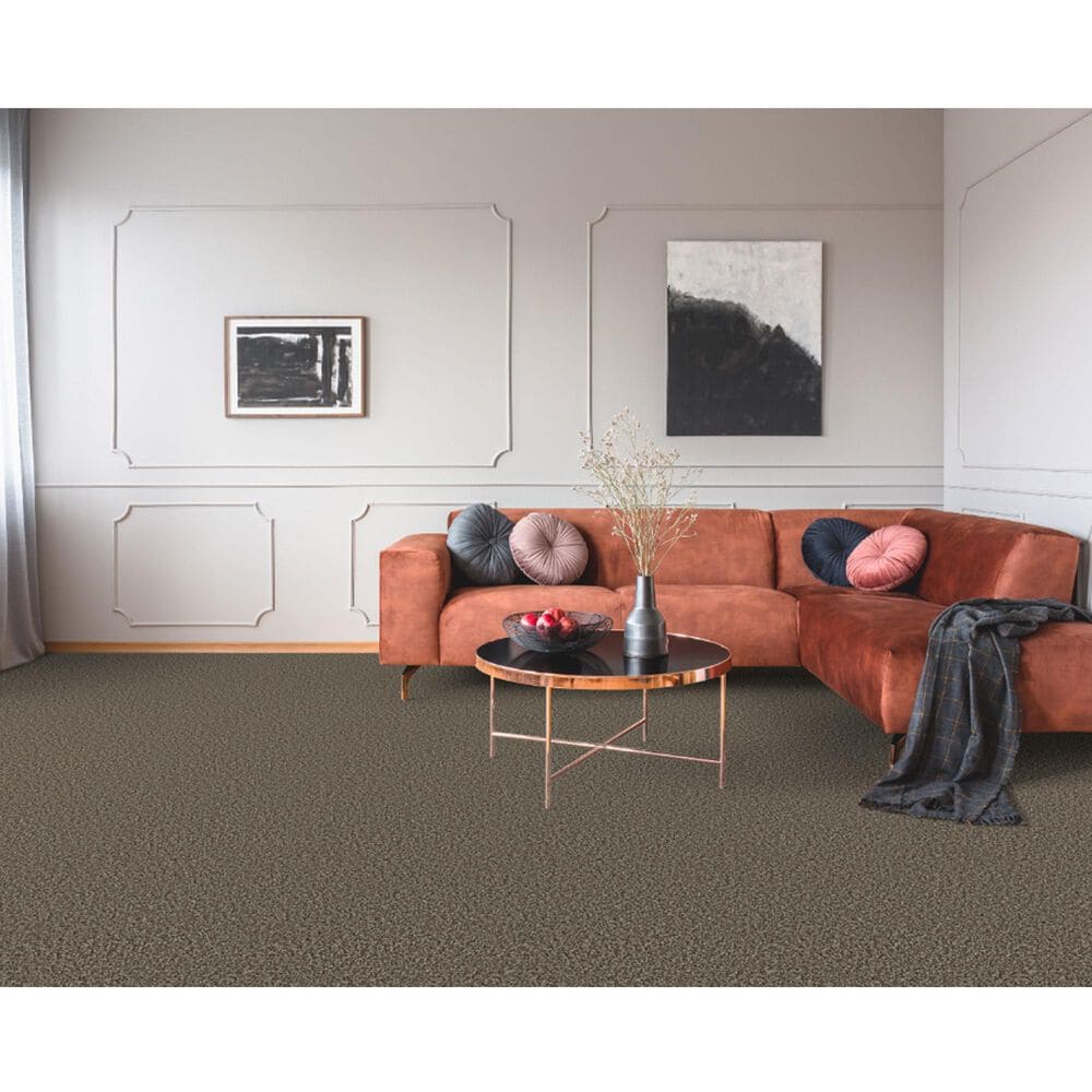 Dixie Home Outlast Carpet in Boulder, , large