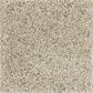 Mohawk Exquisite Appeal Carpet in Nature"s Blend, , large