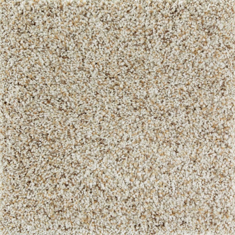 Mohawk Exquisite Appeal Carpet in Nature"s Blend, , large