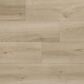 Paramount Alpine Fresco 8" x 48" Laminate, , large