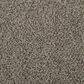 Masland Granique Carpet in Limestone, , large