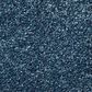 Shaw Find Your Comfort NS I Carpet in Twilight Golf, , large